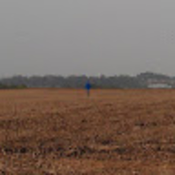 Profile Picture of Benjamin Nelson (@benjaminnels330) on Poshmark