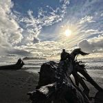 Profile Picture of Tyler Crocker (@crocker_91lx) on Instagram