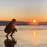 David Pablo Arimborgo - Instagram Profile Picture of David Pablo Arimborgo (@david_pablo_arim) on Instagram