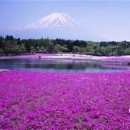 Profile Picture of Brian Hannam (@brian.hannam.965) on Facebook