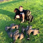 Profile Picture of Logan Stubbs (@logan_stubbs08) on Instagram