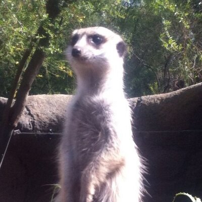 Profile Picture of Yusef Danet (@YusefDanet) on Twitter