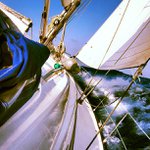 Profile Picture of David Setzer (@icytwe1veknot) on Instagram