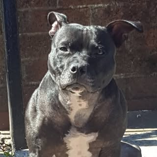 Profile Picture of Mark Toolan (@toolanmark) on Instagram