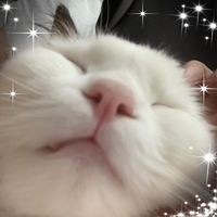 Profile Picture of Ho Cheng (@ho-cheng-4) on Quora