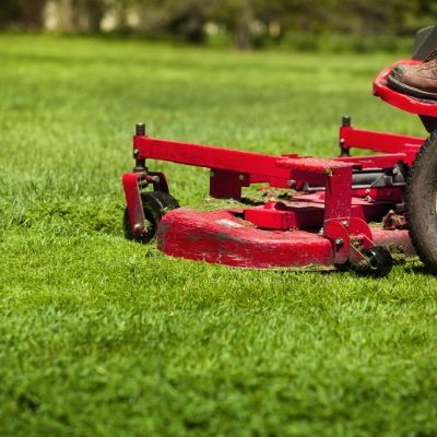 Profile Picture of Grass Cutter (@mark_lethbridge) on Twitter