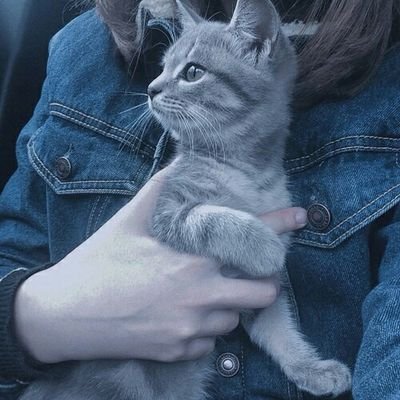 Profile Picture of Laura Sharman (@LauraSharmann) on Twitter