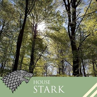 Profile Picture of Michael Jentsch (@michael.jentsch.52) on Facebook