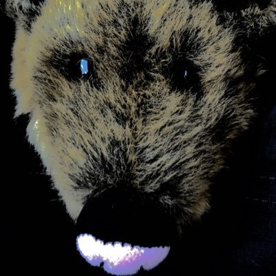 Profile Picture of Nathan Caplinger (@bigpig1022) on Twitter