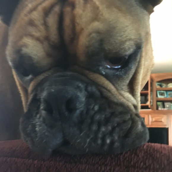 Profile Picture of Atticus Molitor (@atticusmolitor) on Poshmark