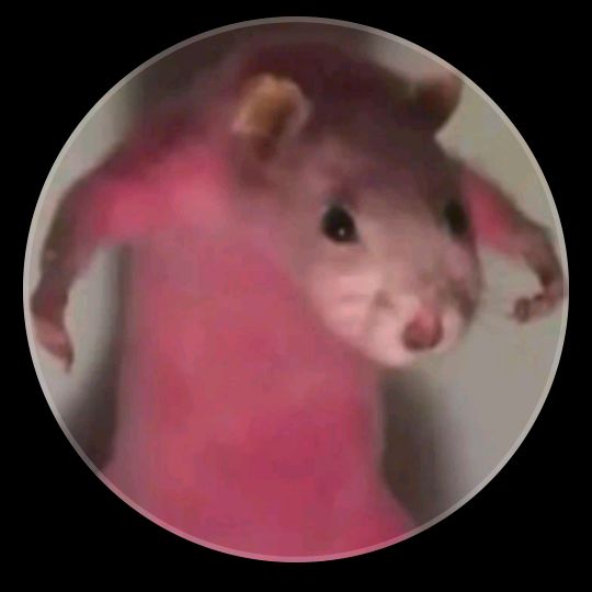 Profile Picture of Alex Mada (@alex.mada5) on Tiktok