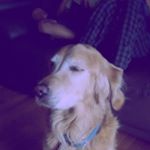 Profile Picture of Jacob secord (@person_boiiii123) on Instagram