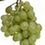 Profile Picture of Floyd Stacy (@stacyzerena) on Flickr