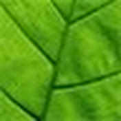 Profile Picture of Dave Frederick (@davefrederick319) on Youtube