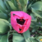 Profile Picture of Lisa Lowery (@lisa.lowery.73) on Instagram