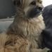 Profile Picture of Miranda Hendriks (@miranda.hendriks.794) on Facebook