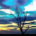 Profile Picture of Tony Masterson (@masterson4553) on Instagram