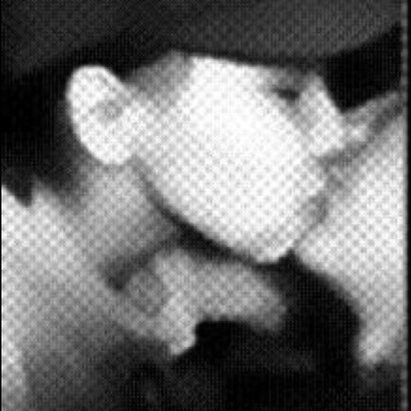 Profile Picture of Summer Delorme (@delormsu) on Poshmark