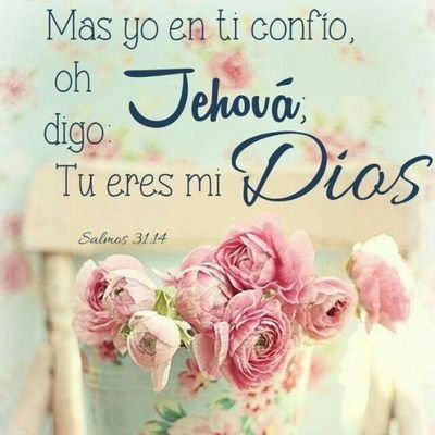 Profile Picture of Nestor Edmundo Silva (@nestorsilva73) on Twitter