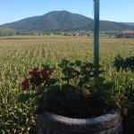 Profile Picture of Robert Latorre Soto (@rlatorre68) on Instagram