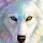 Profile Picture of Olyn Yoaly Martínez Esquibel (@olynyoalymartinez) on Instagram