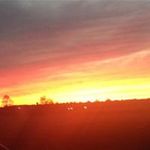 Profile Picture of Sherry Stephen (@sherrystephen3427) on Instagram