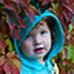Profile Picture of Katarina Rytting (@katarina rytting photography) on Flickr