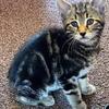 Profile Picture of Eileen Reid (@eileen.reid0) on Tiktok