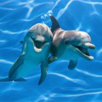 Profile Picture of Leonardo Guida (@guida.leonardo) on Instagram