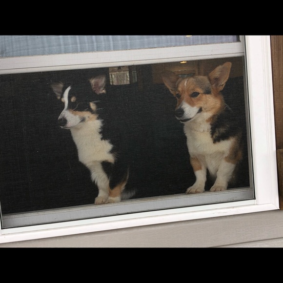 Profile Picture of Lee Scott (@leescott57) on Poshmark