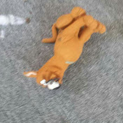 Profile Picture of David Manning (@davidmanning3180) on Youtube