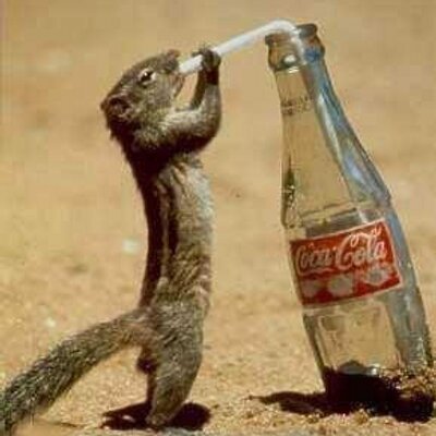 Profile Picture of Omar Ojeda Bolaño (@omarcamiloojeda) on Twitter