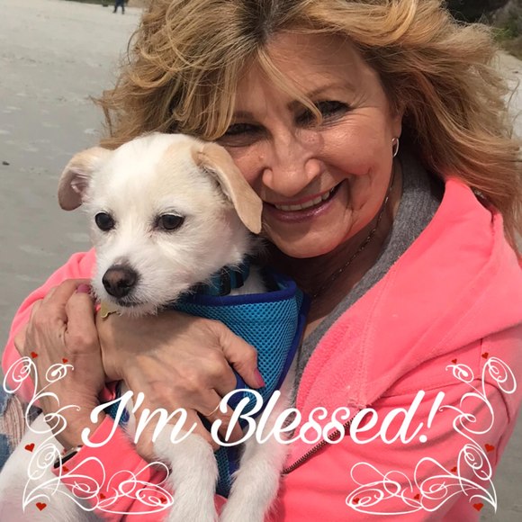 Sheree Robinson - Poshmark Profile Picture of Sheree Robinson (@shereez13) on Poshmark