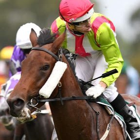 Profile Picture of FlemingtonBloodstock (@Ana_montoya21) on Twitter
