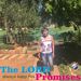Profile Picture of Maureen Devries (@devriesmaureen) on Pinterest