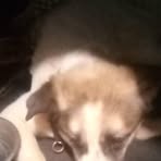 Profile Picture of Cole Leary (@cole.leary.2025) on Facebook