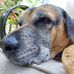 Profile Picture of Joe Schneck (@joe.schneck.5) on Facebook