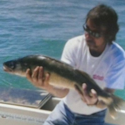 Profile Picture of John Potts (@JOHNTPOTTS1) on Twitter