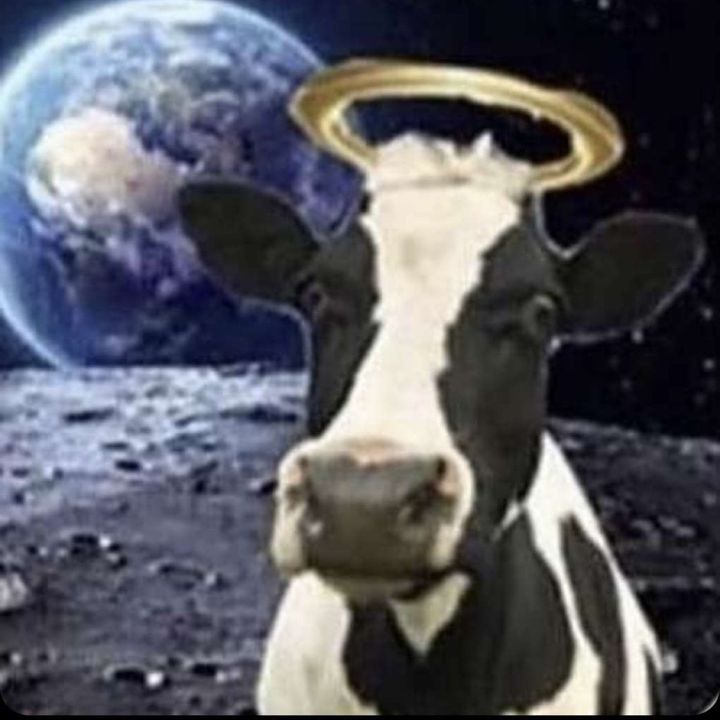 Profile Picture of aaron (@aaronlanta) on Tiktok