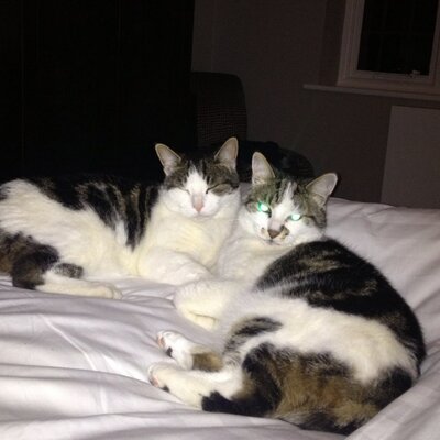 Profile Picture of Max Wheeler (@MaxMaxwheeler9) on Twitter