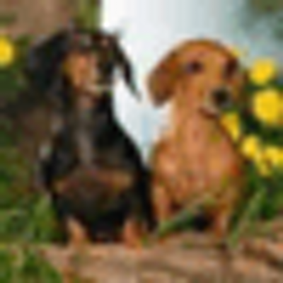 Profile Picture of Lance Muller (@qwkgeniev) on Twitter