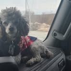 Profile Picture of Bryant Peters (@bryant.peters.58) on Facebook