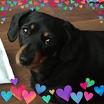 Profile Picture of Julie Beattie (@julie.beattie.56) on Instagram