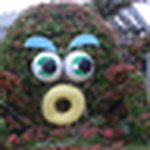 Profile Picture of Michael Kelly (@solidlogic) on Flickr