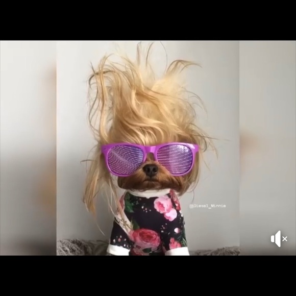 Profile Picture of Adotey Acquaye (@iq_state100) on Poshmark