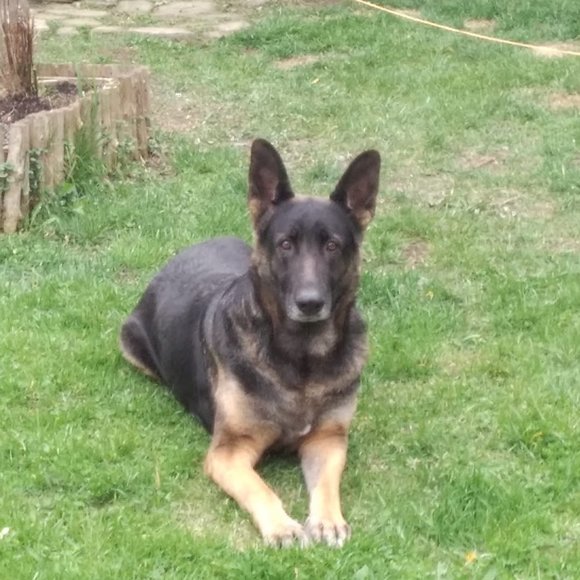 Profile Picture of Suzanne Ramsay (@suzanneramsay) on Poshmark