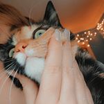 Profile Picture of Meg Haynes (@meganm456) on Instagram