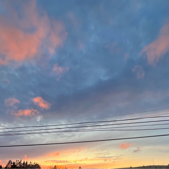 Profile Picture of Alys Pottle (@alyscpottle) on Poshmark