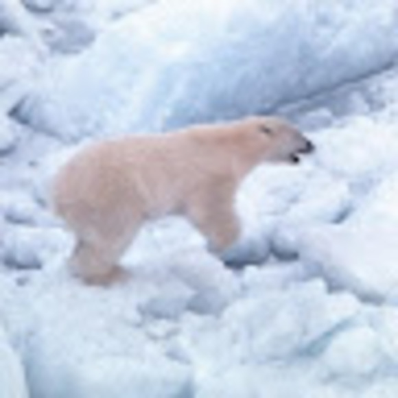 Profile Picture of Wayne Bonner (@wayne_bonner) on Poshmark