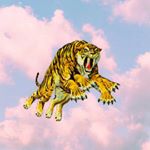 Profile Picture of James Munn (@munnzee) on Instagram